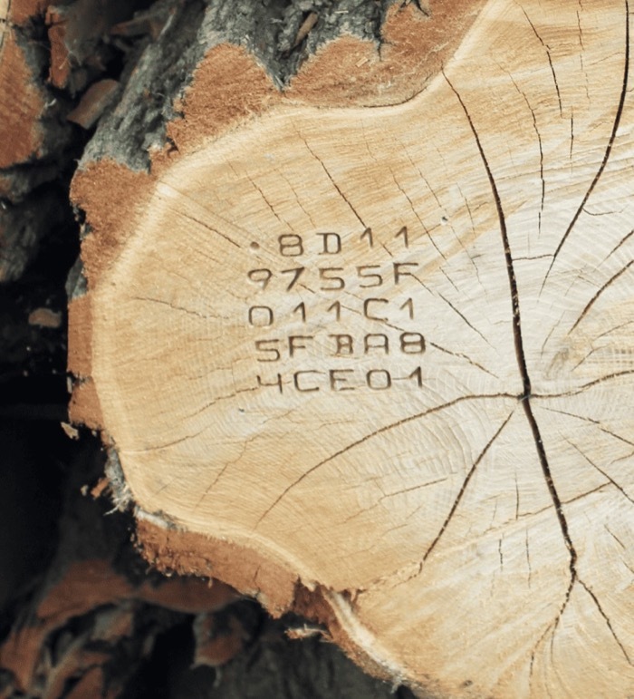 Dcode marking on timber logs in forest - physical traceability
