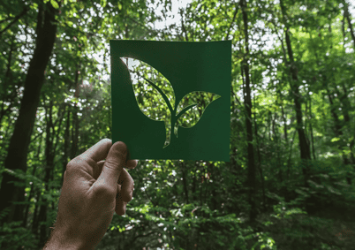 forest business EUDR